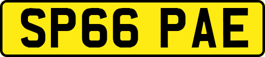 SP66PAE