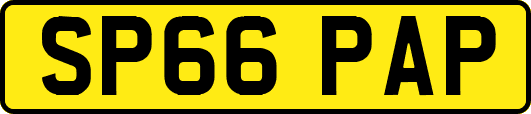 SP66PAP