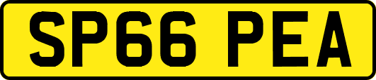 SP66PEA