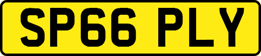 SP66PLY