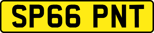 SP66PNT