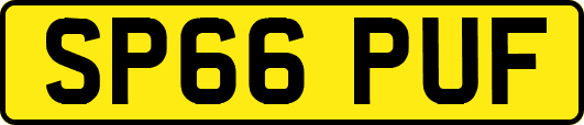 SP66PUF