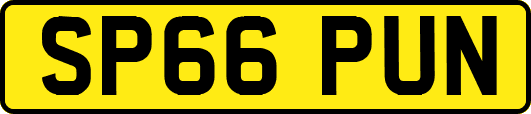 SP66PUN