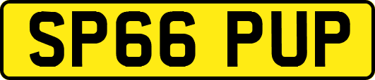 SP66PUP