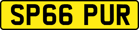 SP66PUR