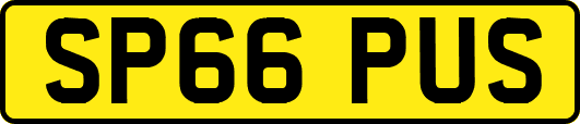 SP66PUS