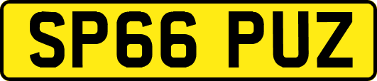SP66PUZ