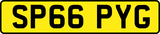 SP66PYG