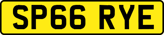 SP66RYE