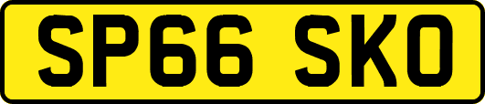 SP66SKO