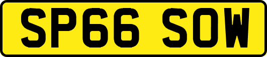 SP66SOW