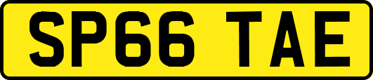 SP66TAE
