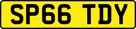 SP66TDY