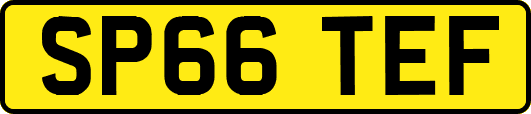 SP66TEF