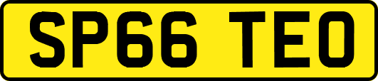 SP66TEO