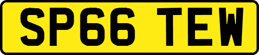 SP66TEW