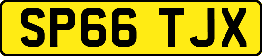 SP66TJX