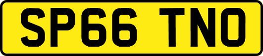 SP66TNO