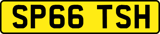 SP66TSH