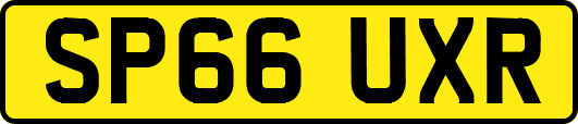 SP66UXR
