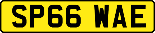 SP66WAE