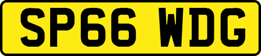 SP66WDG