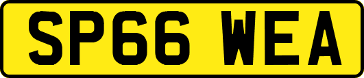 SP66WEA