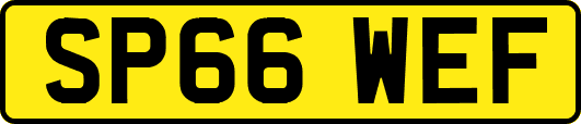 SP66WEF