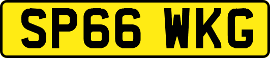SP66WKG