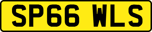 SP66WLS