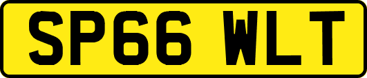 SP66WLT