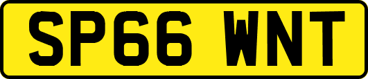 SP66WNT