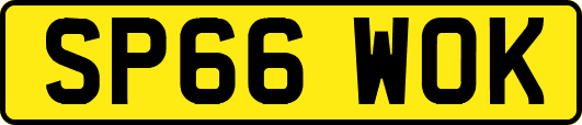SP66WOK