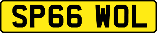 SP66WOL