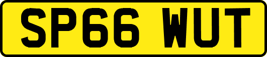 SP66WUT