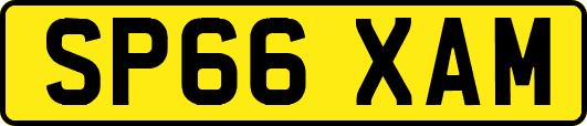 SP66XAM