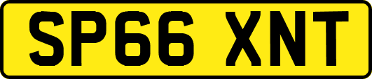 SP66XNT