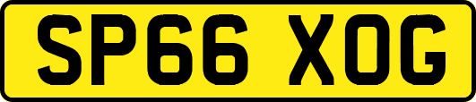 SP66XOG