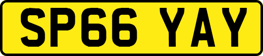 SP66YAY