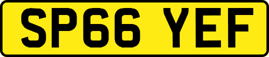 SP66YEF