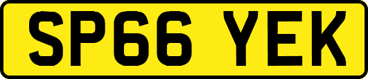 SP66YEK