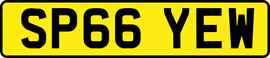 SP66YEW