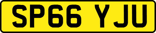 SP66YJU