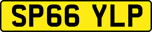 SP66YLP
