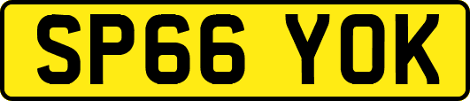 SP66YOK