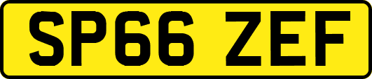 SP66ZEF