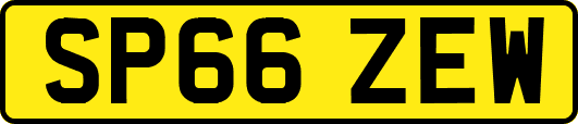 SP66ZEW