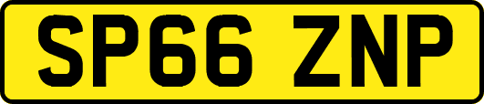 SP66ZNP