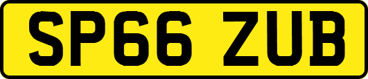 SP66ZUB