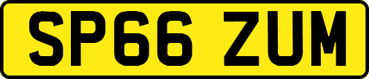 SP66ZUM